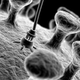 Illustration for article titled Quantum electron submarine holds the key to real, practical nanotechnology